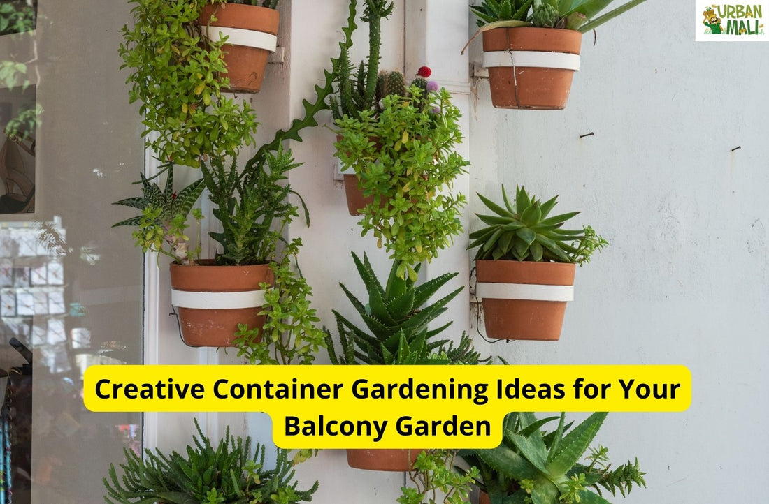 Creative Container Gardening Ideas for Your Balcony Garden
