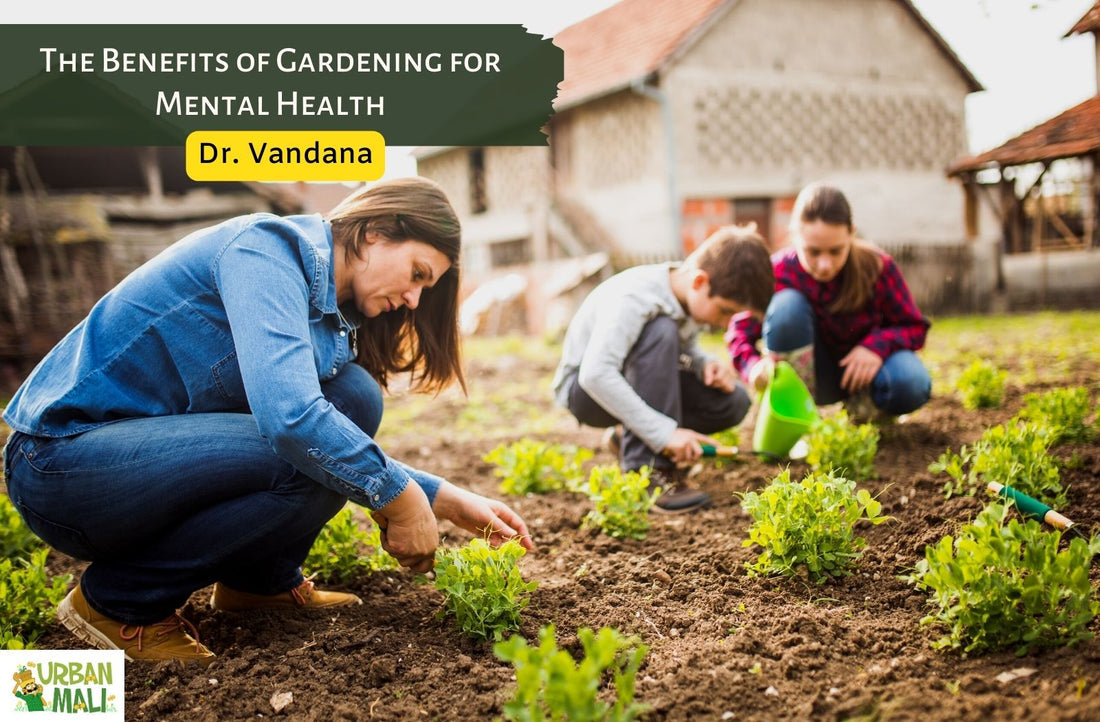 The Benefits of Gardening for Mental Health