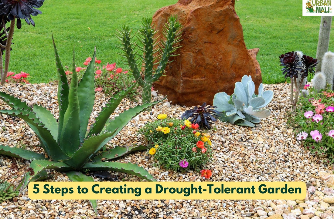 5 Steps to Creating a Drought-Tolerant Garden