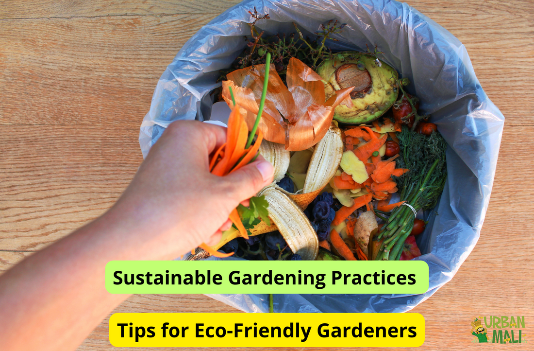 Sustainable Gardening Practices: Tips for Eco-Friendly Gardeners
