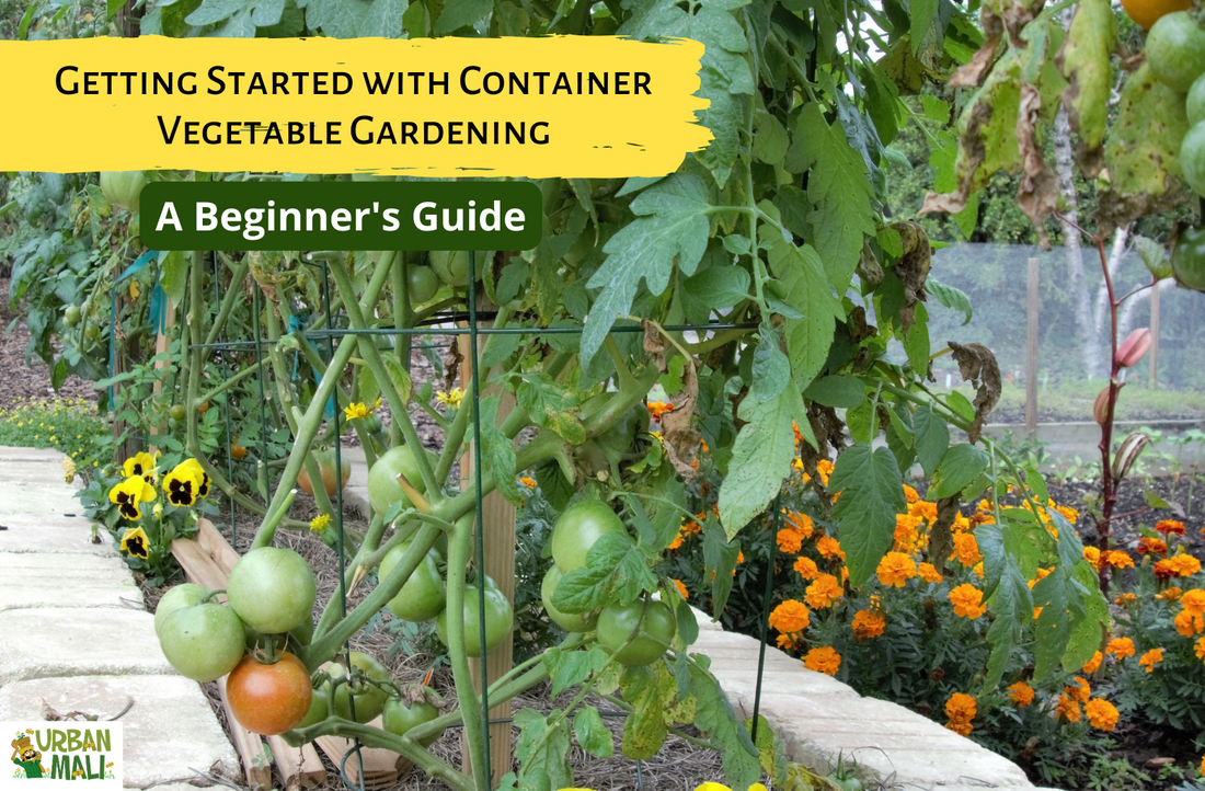 Getting Started with Container Vegetable Gardening: A Beginner's Guide