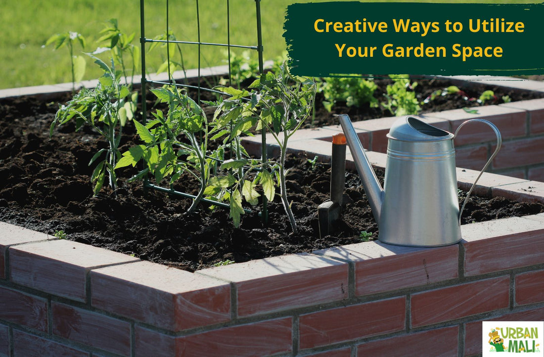 Creative Ways to Utilize Your Garden Space