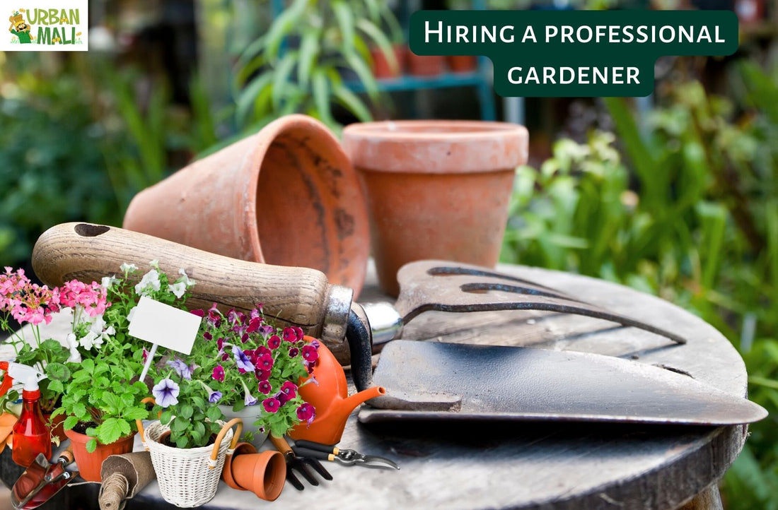 The Benefits of Hiring a Professional Gardener