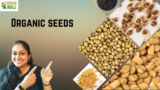 Organic seeds