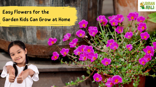 23 Easy Flowers for the Garden Kids Can Grow at Home