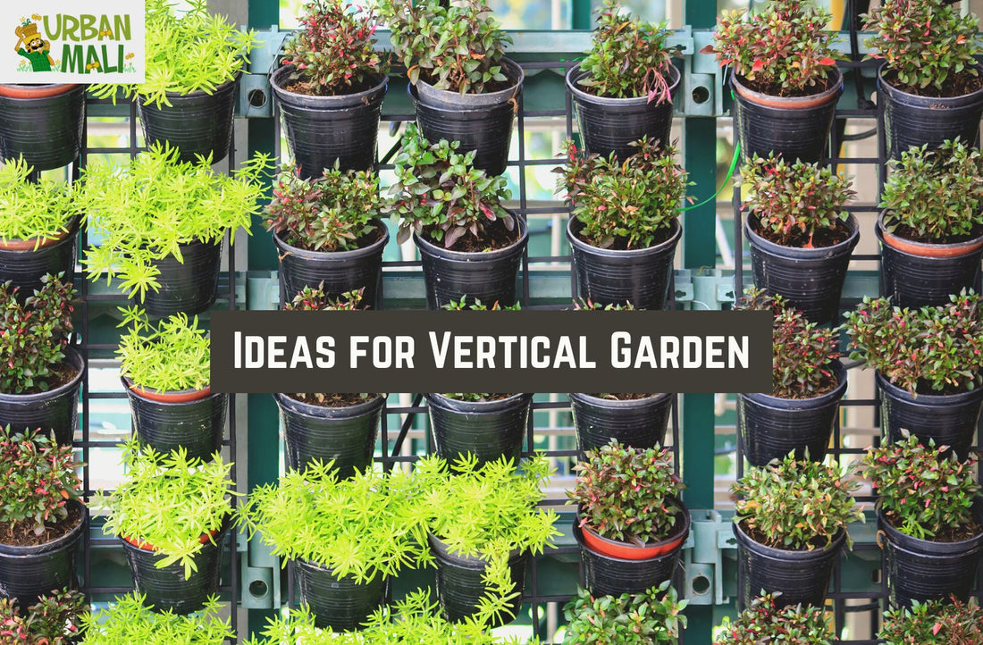 Ideas for Vertical Garden