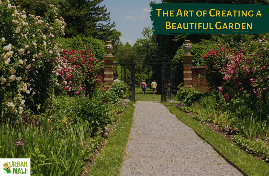 The Art of Creating a Beautiful Garden