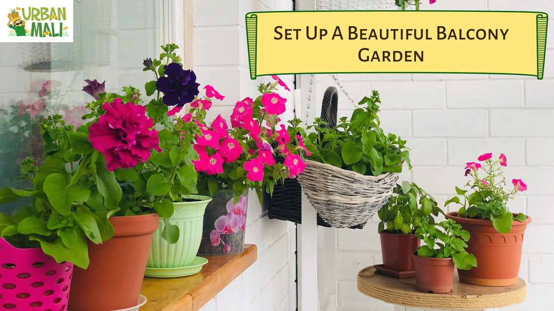 19 Easy Balcony Gardening Tips To Set Up A Beautiful Balcony Garden