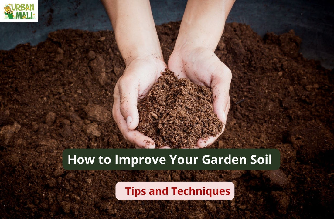 How to Improve Your Garden Soil: Tips and Techniques