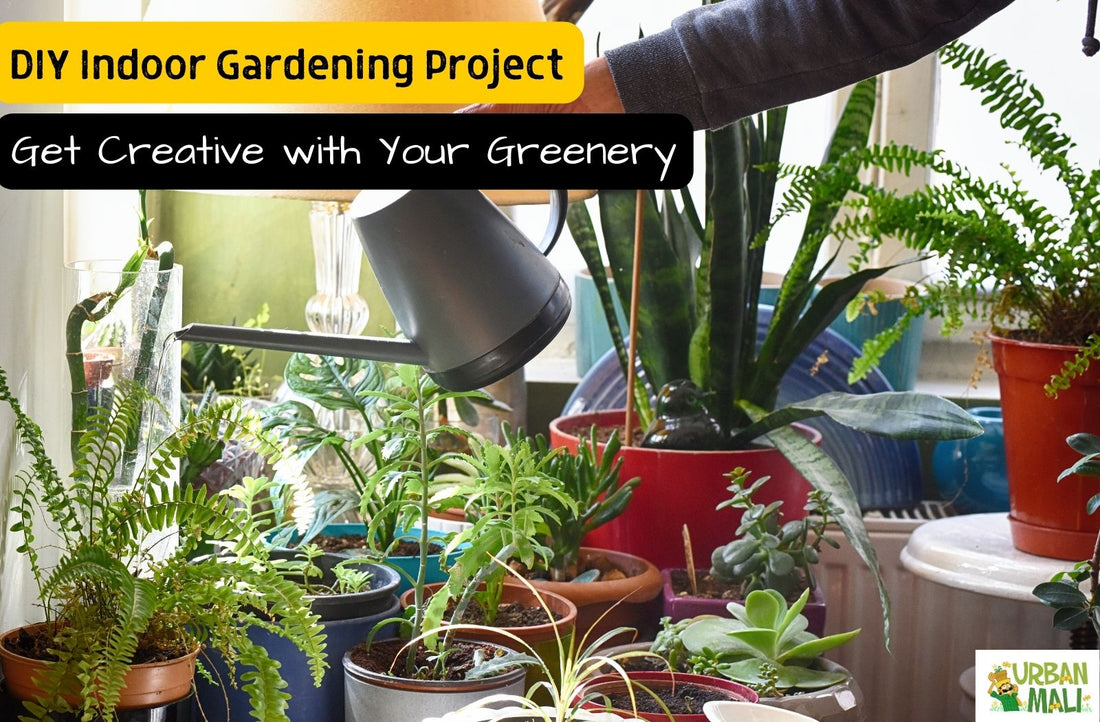 DIY Indoor Gardening Projects: Get Creative with Your Greenery
