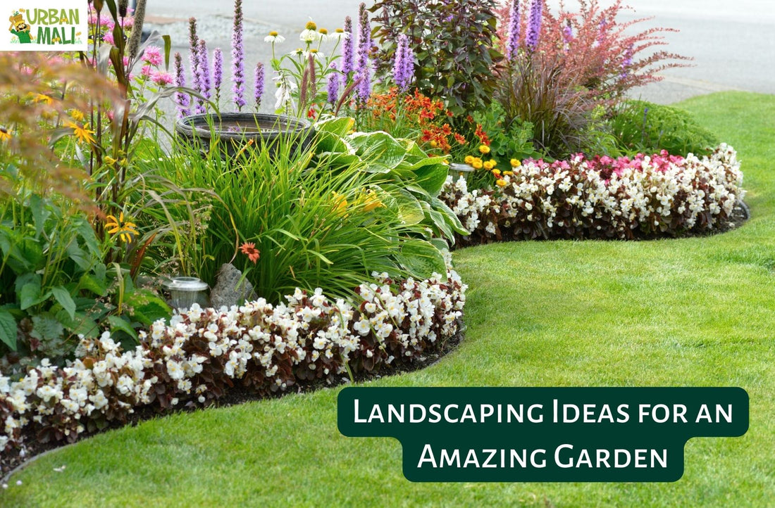 Landscaping Ideas for an Amazing Garden