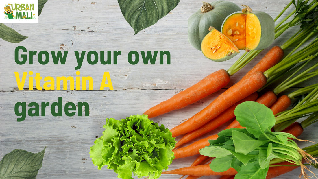 Grow your own Vitamin A garden