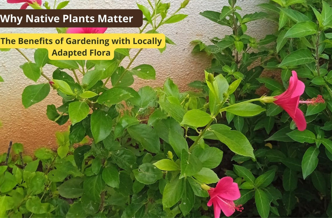 Why Native Plants Matter: The Benefits of Gardening with Locally Adapted Flora