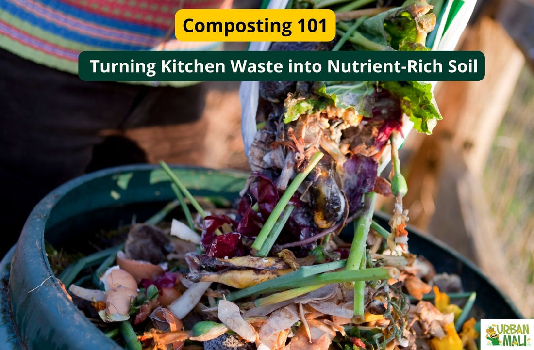 Composting 101: Turning Kitchen Waste into Nutrient-Rich Soil