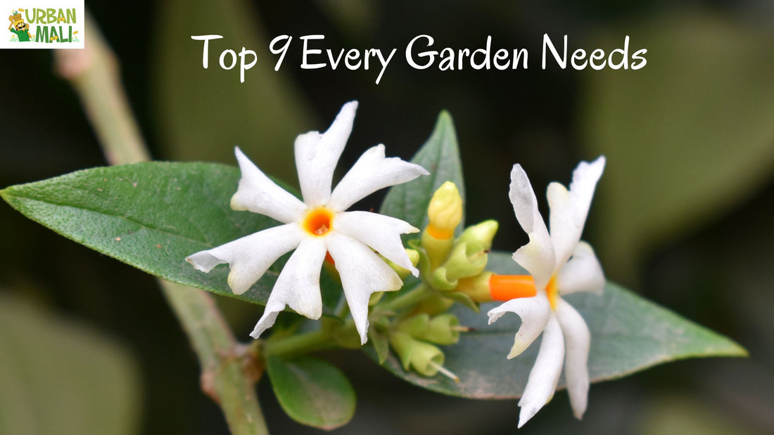Gardening Plants - Top 9 Every Garden Needs