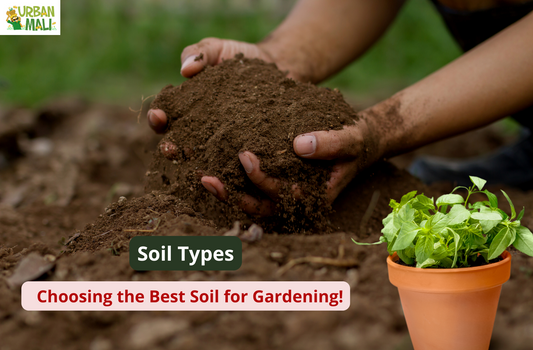 Soil Types: Choosing the Best Soil for Gardening