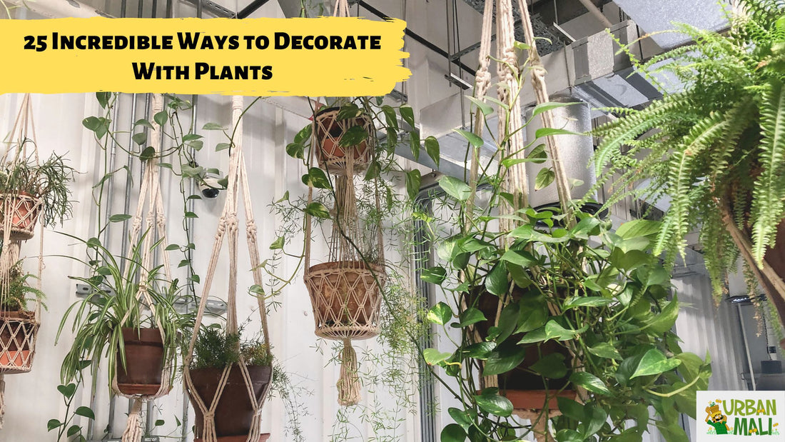 25 Incredible Ways to Decorate With Plants