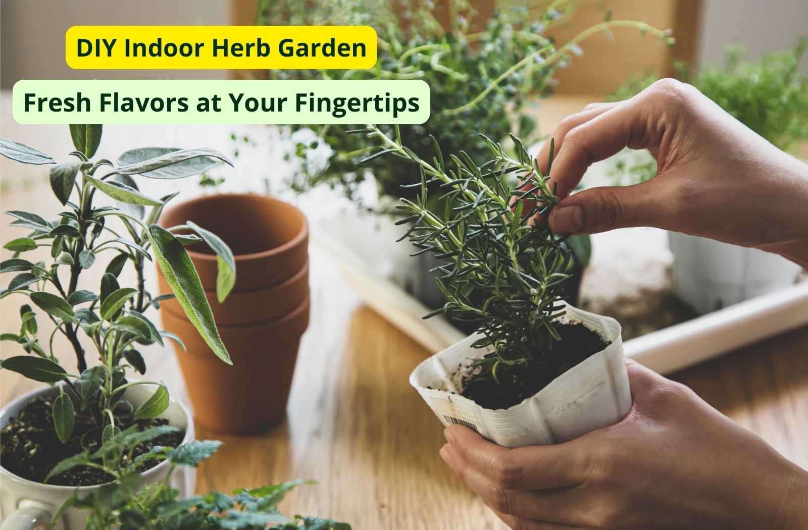 DIY Indoor Herb Garden: Fresh Flavors at Your Fingertips