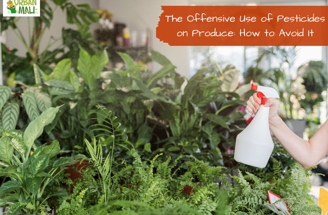 The Offensive Use of Pesticides on Produce: How to Avoid It