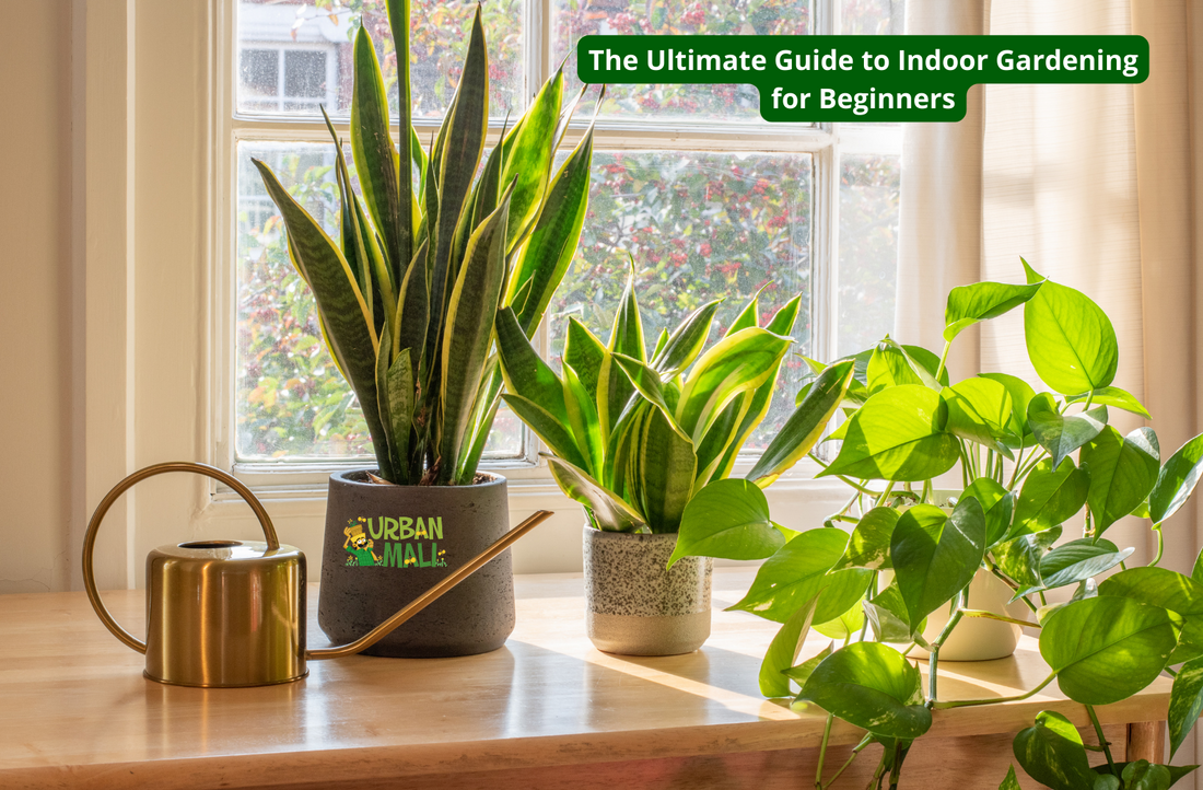 The Ultimate Guide to Indoor Gardening for Beginners