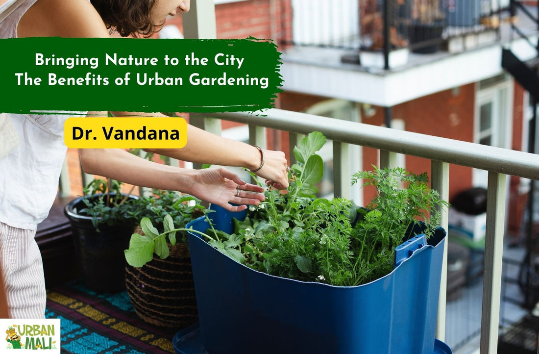 Bringing Nature to the City: The Benefits of Urban Gardening