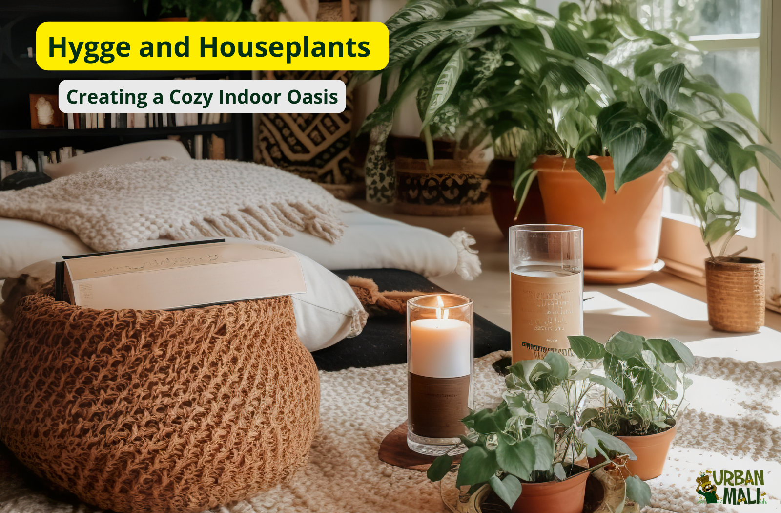 Hygge and Houseplants: Creating a Cozy Indoor Oasis