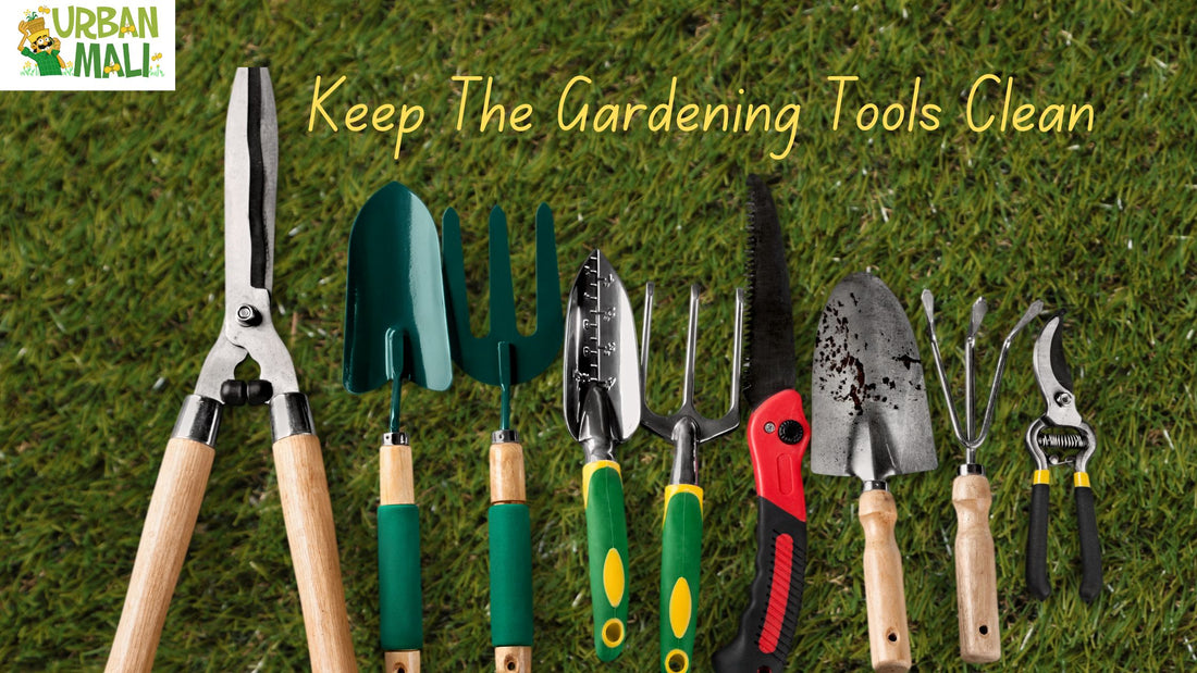 Keep The Gardening Tools Clean