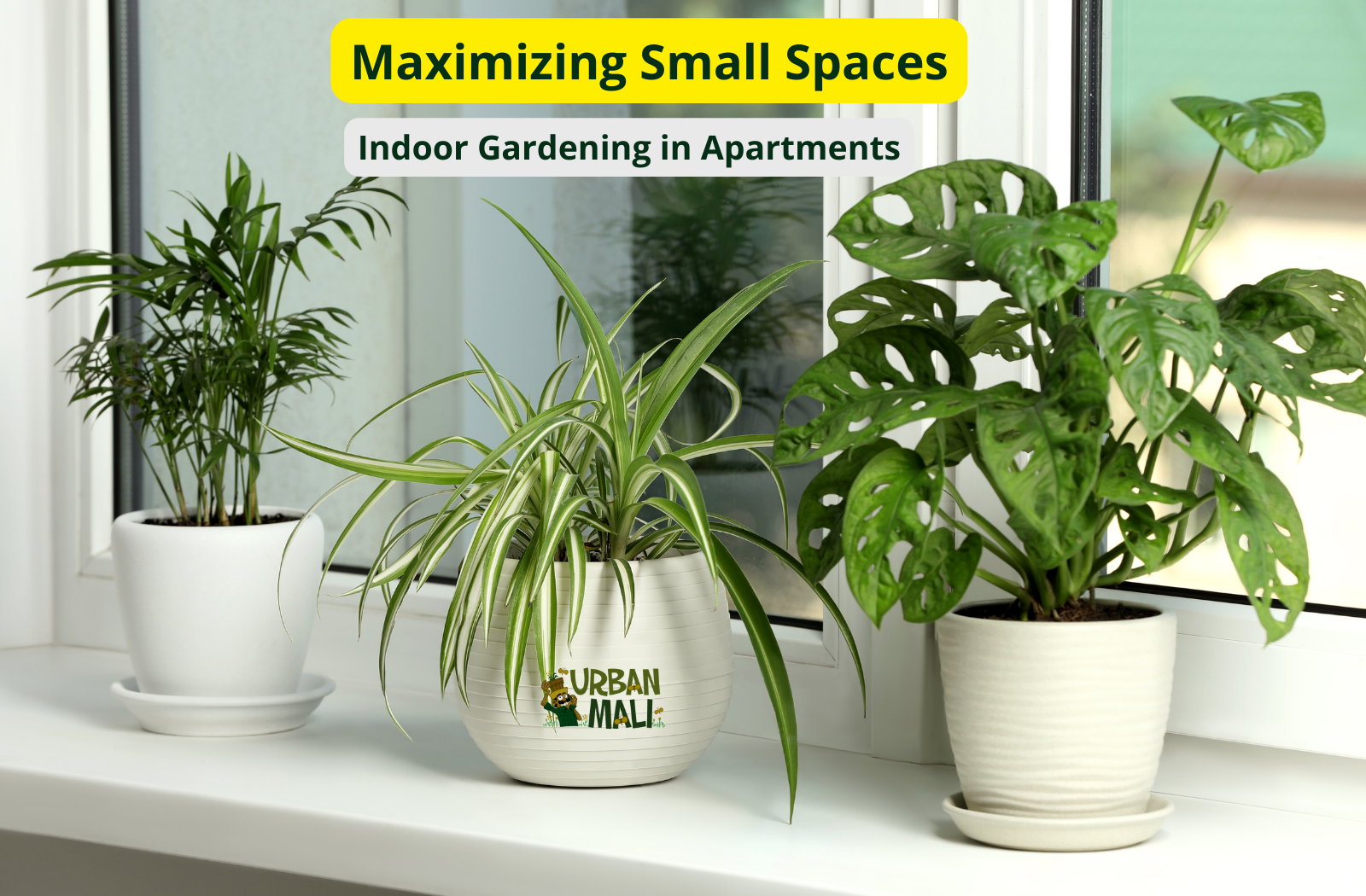 Maximizing Small Spaces: Indoor Gardening in Apartments