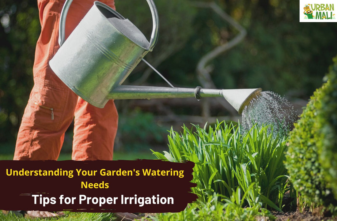 Understanding Your Garden's Watering Needs: Tips for Proper Irrigation