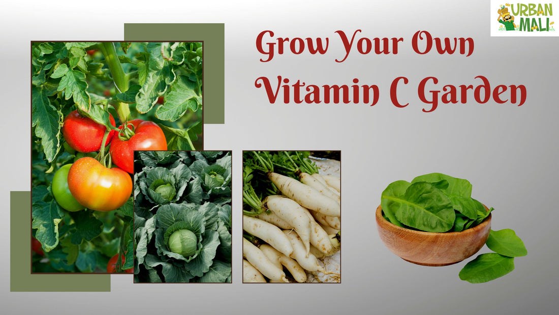 Grow Your Own Vitamin C Garden