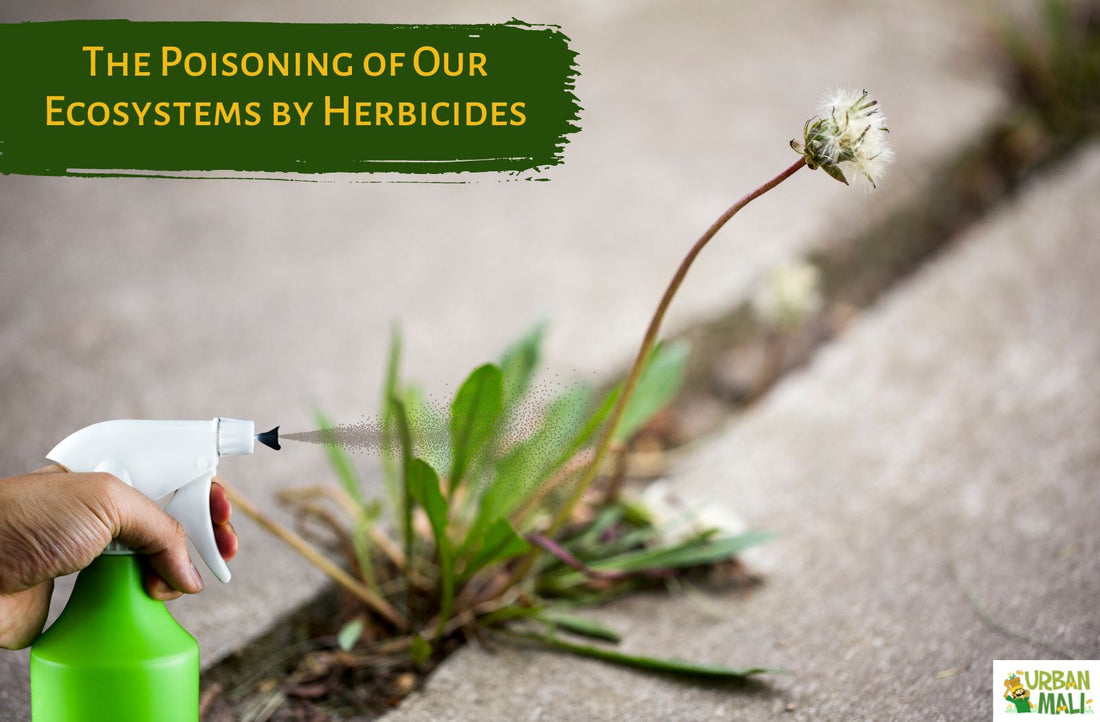 The Poisoning of Our Ecosystems by Herbicides