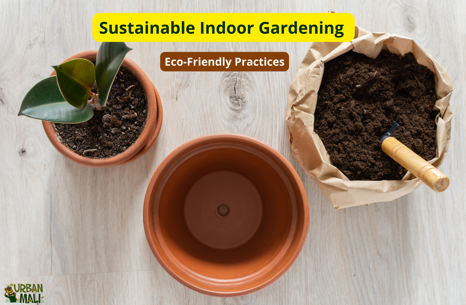 Sustainable Indoor Gardening: Eco-Friendly Practices