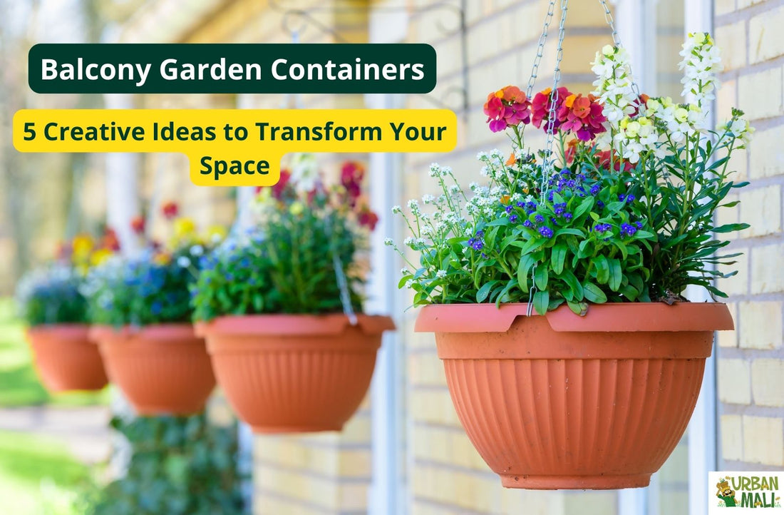 Balcony Garden Containers: 5 Creative Ideas to Transform Your Space