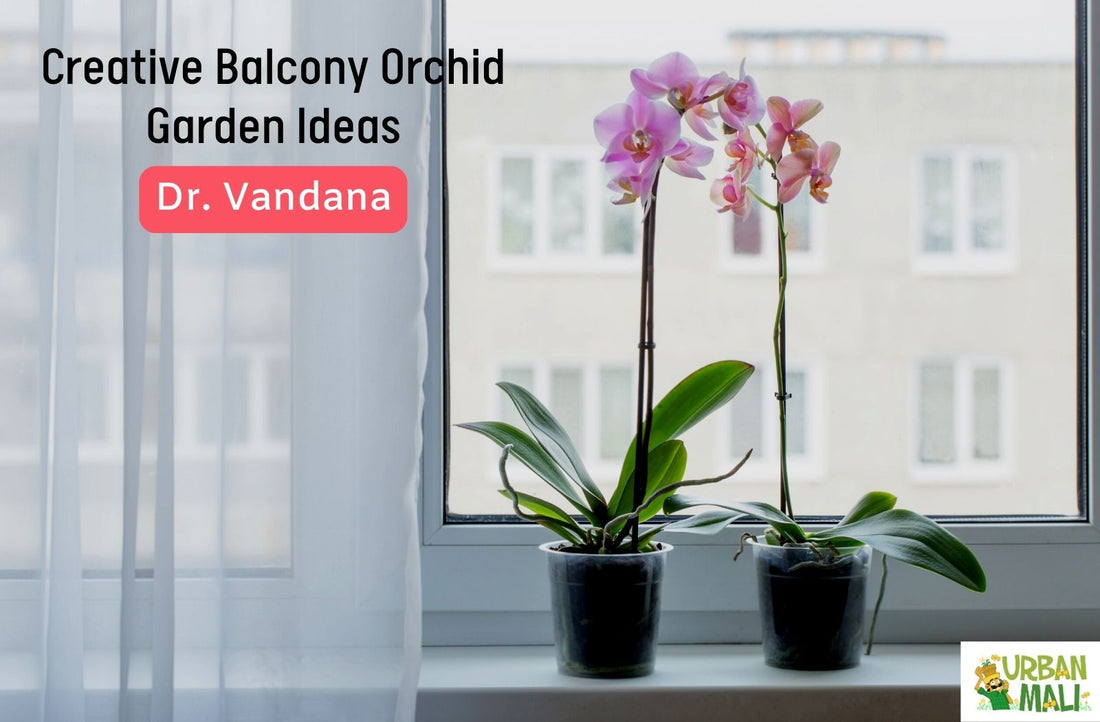 Creative Balcony Orchid Garden Ideas