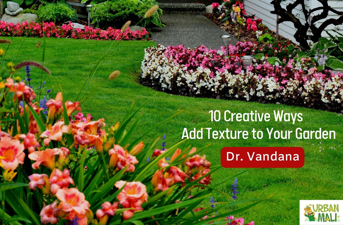 10 Creative Ways to Add Texture to Your Garden