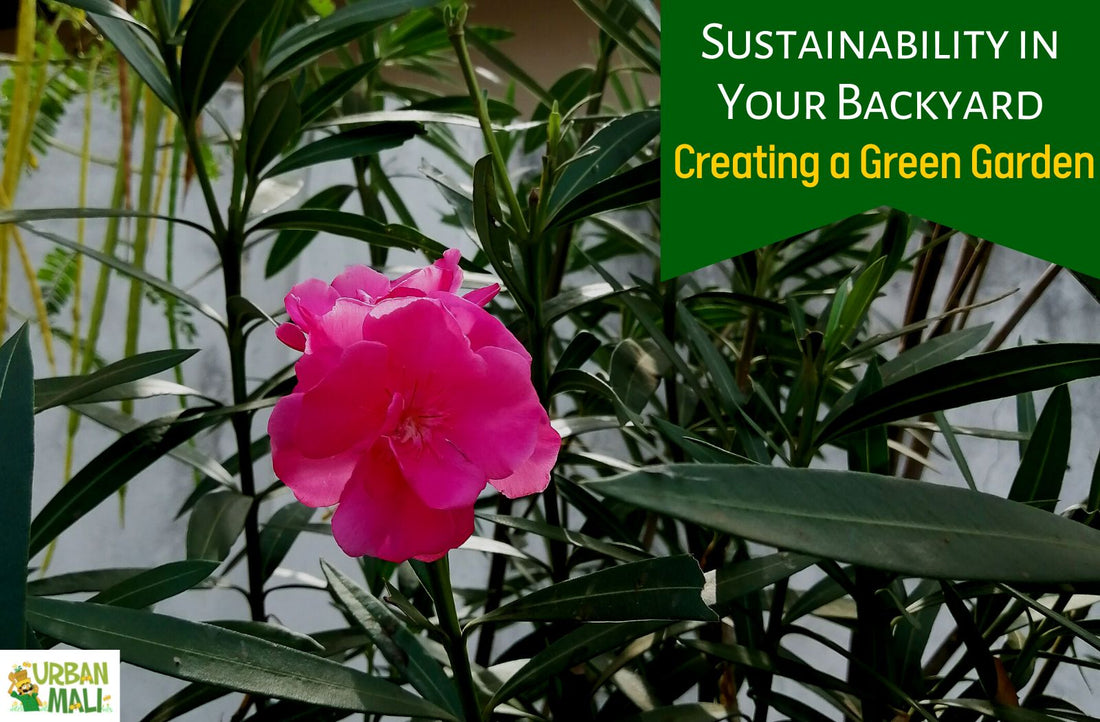 Sustainability in Your Backyard: Creating a Green Garden