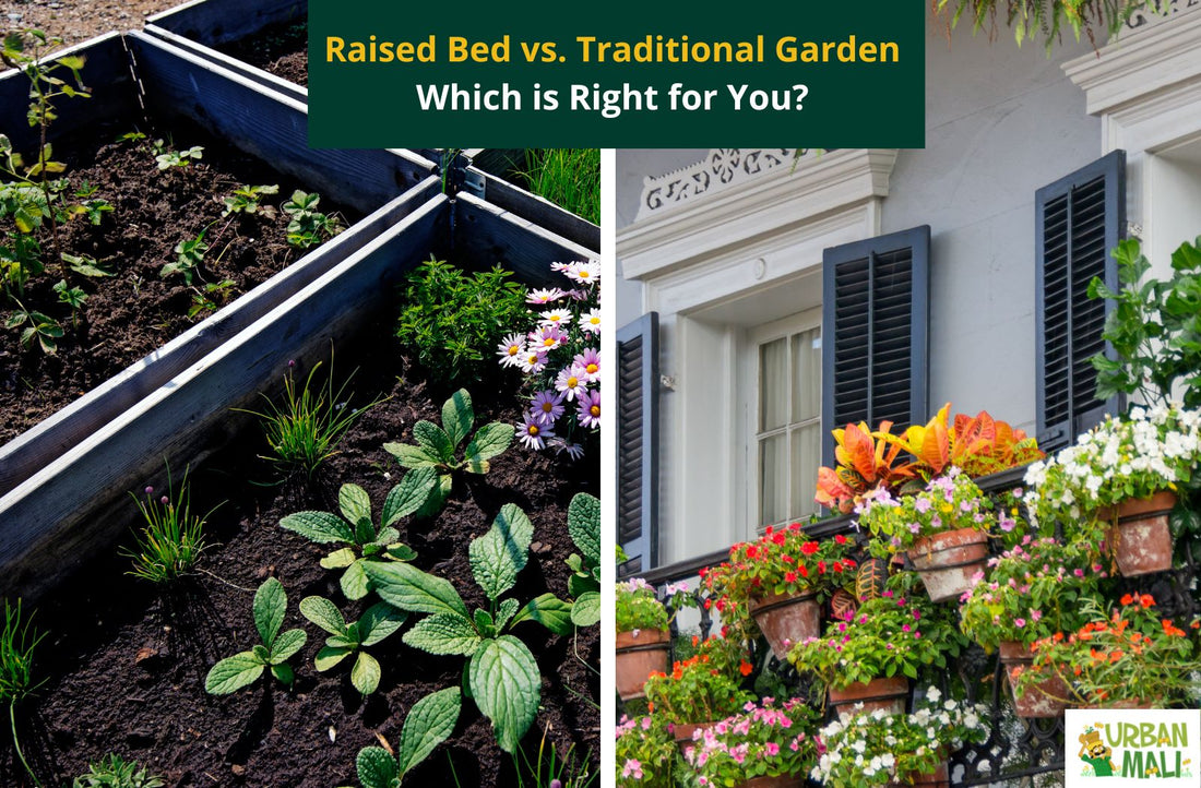 Raised Bed vs. Traditional Garden: Which is Right for You?