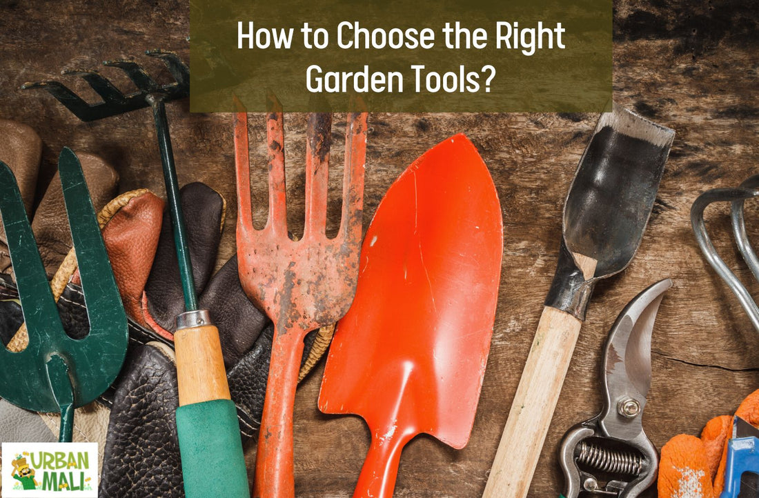 How to Choose the Right Garden Tools?