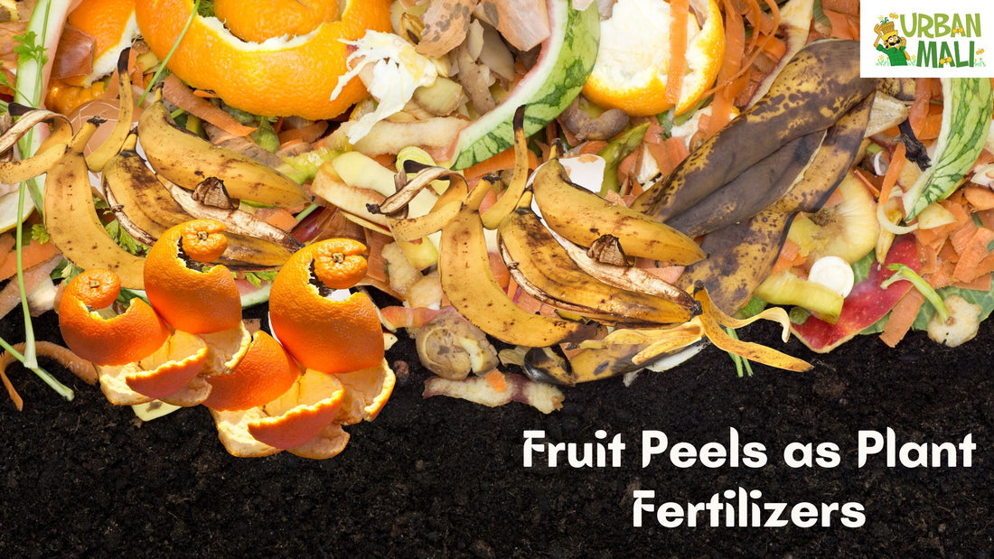 Never trash these Fruit Peels| Fruit Peels as Plant Fertilizers