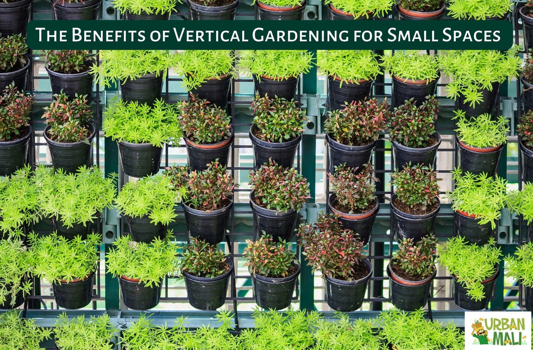 The Benefits of Vertical Gardening for Small Spaces