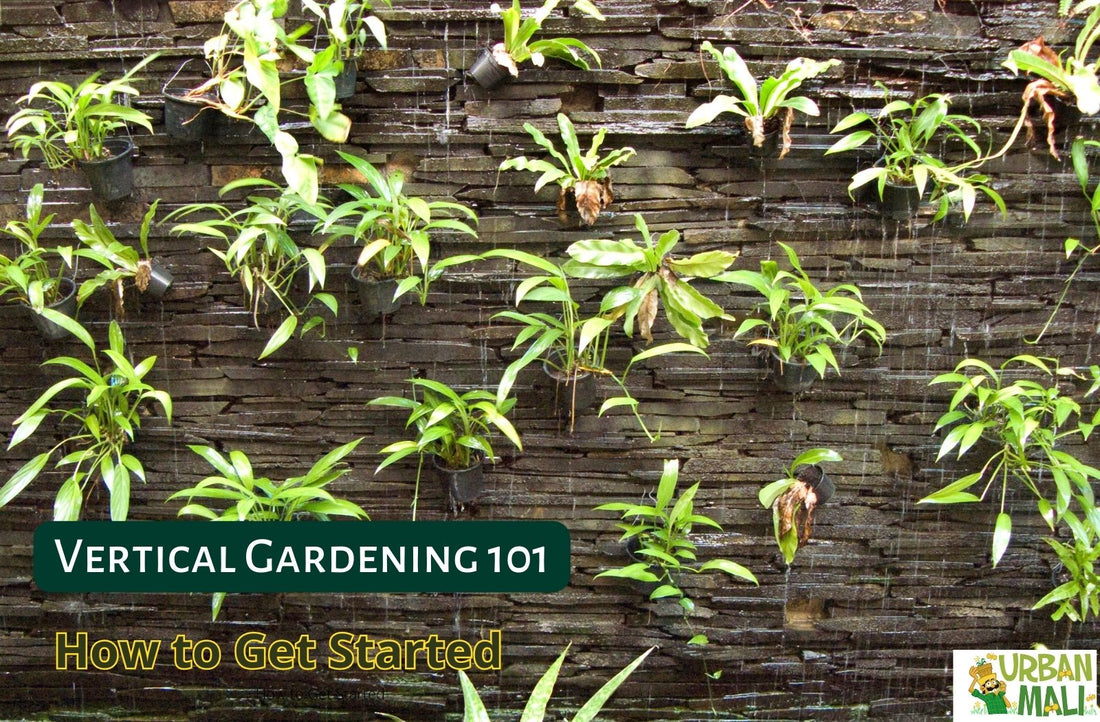 Vertical Gardening 101: How to Get Started