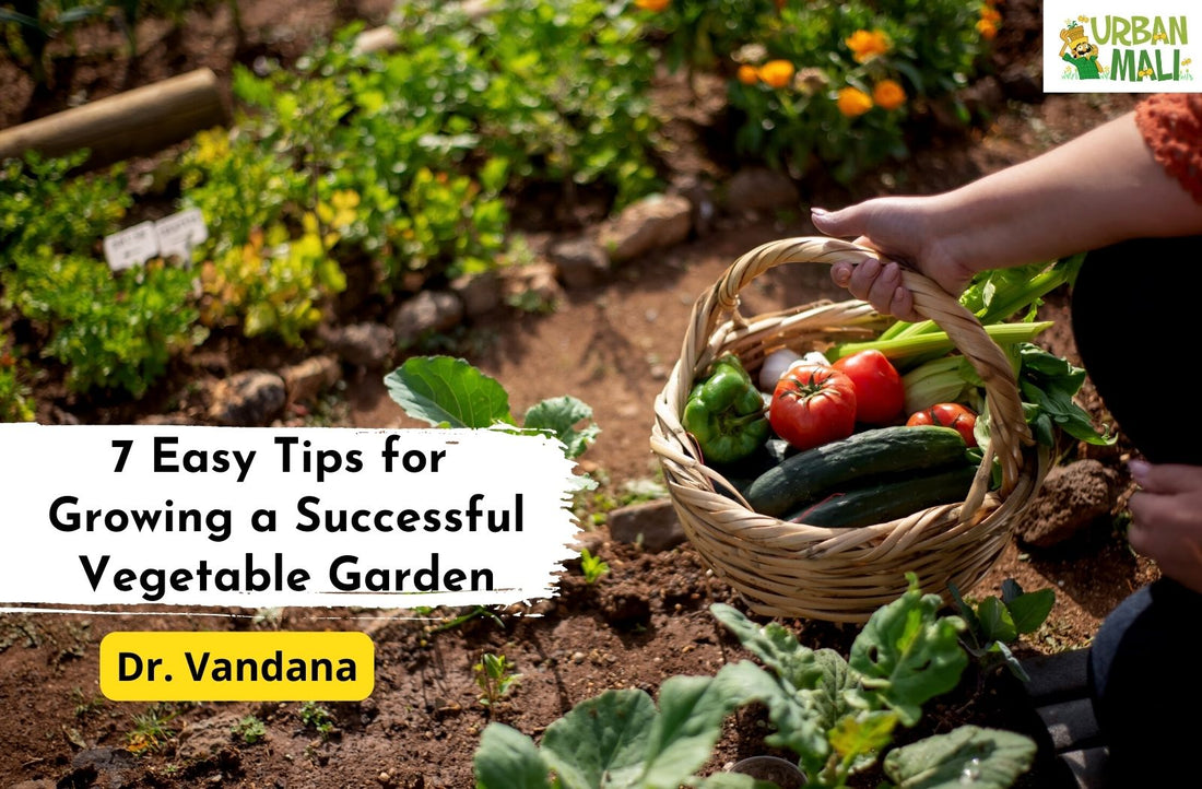 7 Easy Tips for Growing a Successful Vegetable Garden