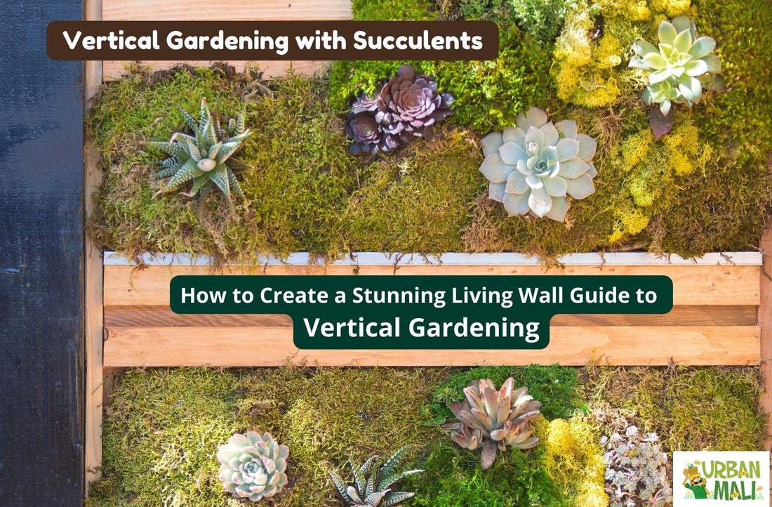 Vertical Gardening with Succulents: How to Create a Stunning Living Wall