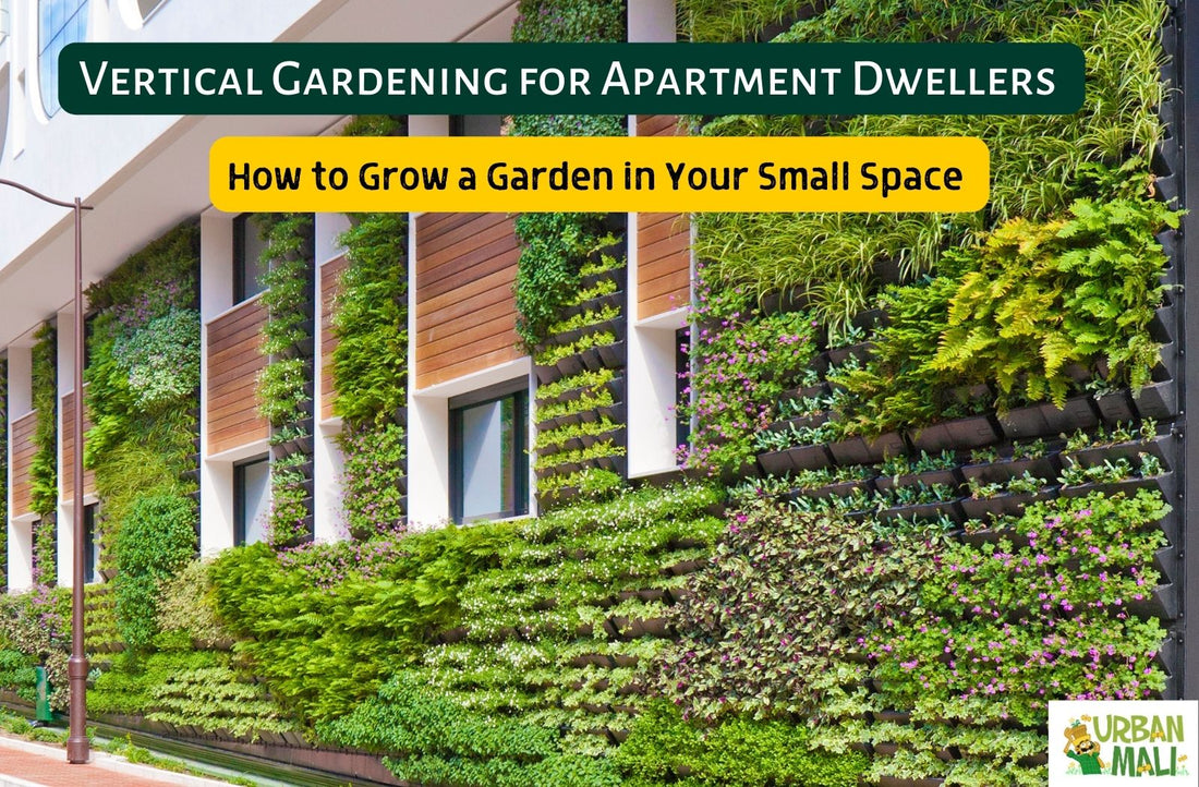 Vertical Gardening for Apartment Dwellers: How to Grow a Garden in Your Small Space