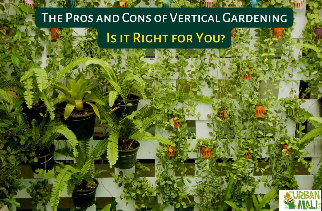The Pros and Cons of Vertical Gardening: Is it Right for You?