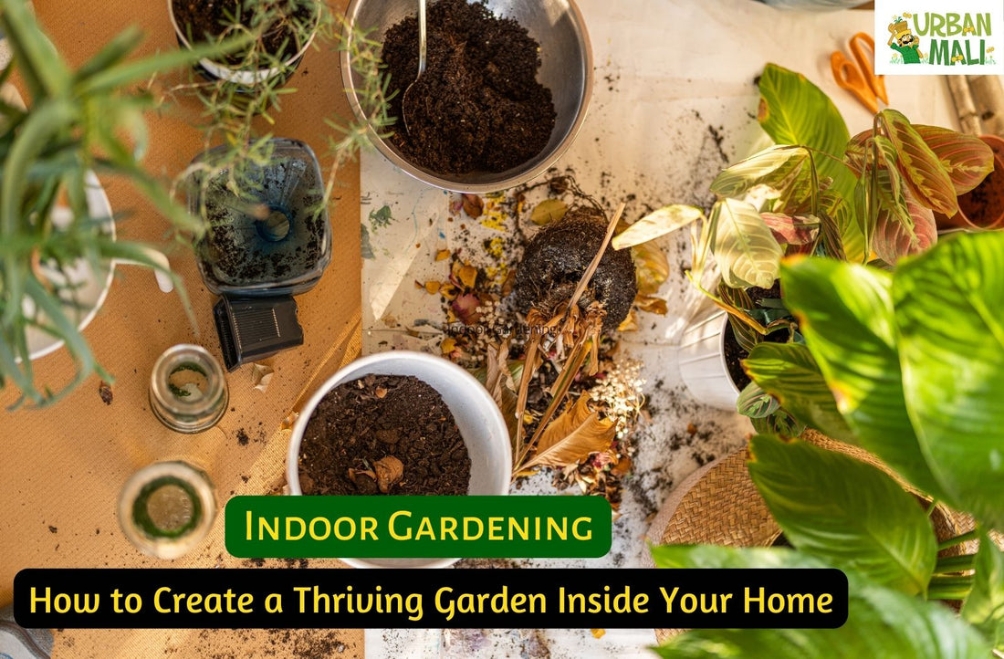 Indoor Gardening: How to Create a Thriving Garden Inside Your Home