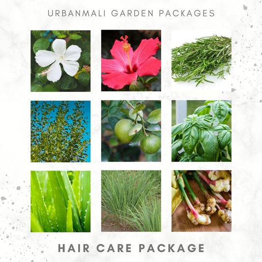 Hair Care Package - UrbanMali Network
