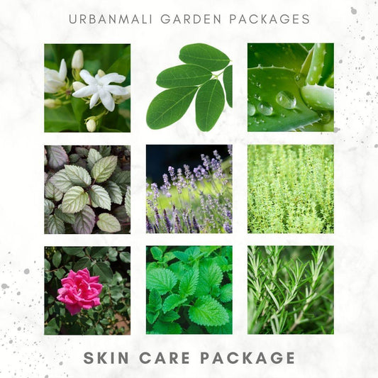 Skin Care Package - UrbanMali Network
