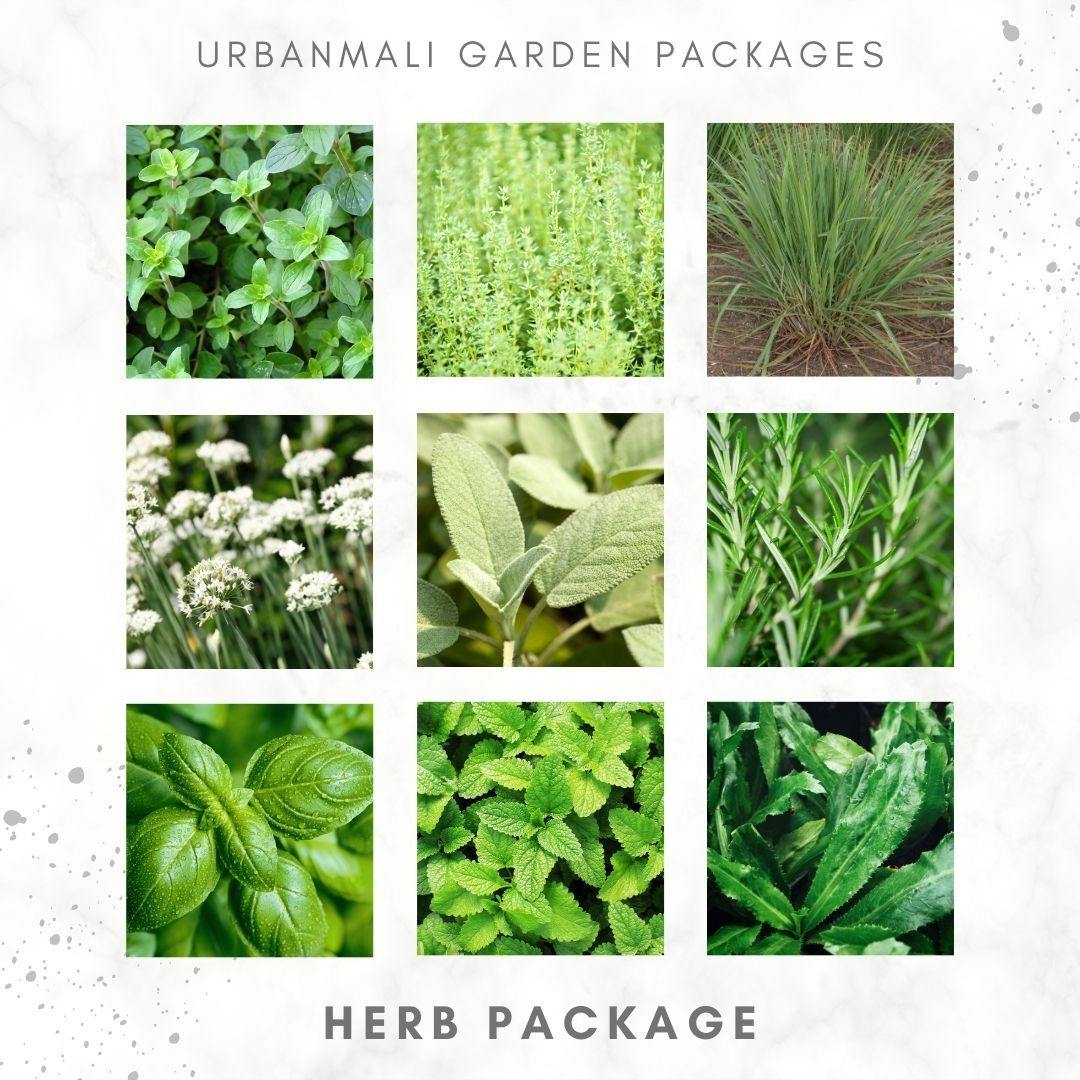 Herb Package - UrbanMali Network