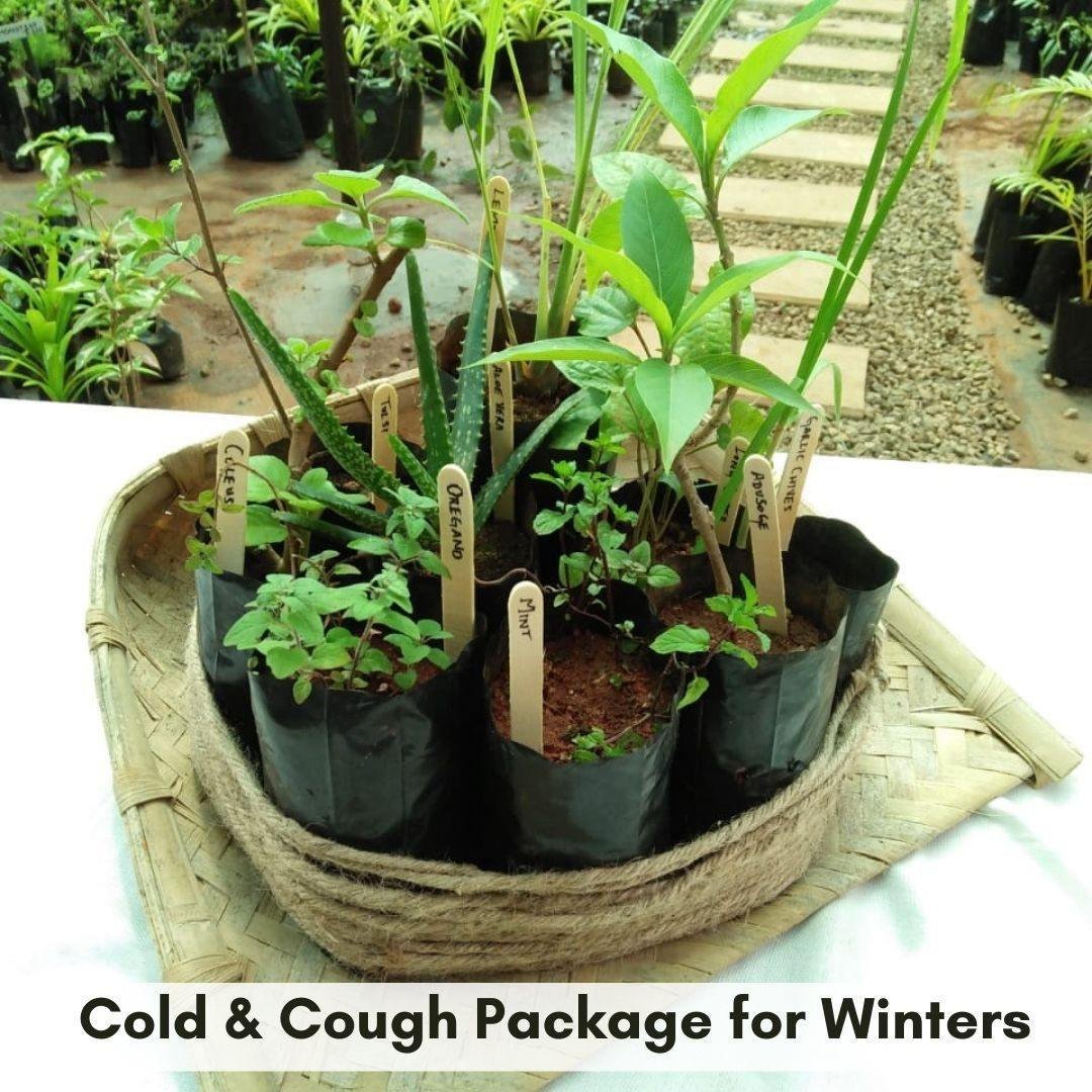 Cold & Cough Garden Package - UrbanMali Network